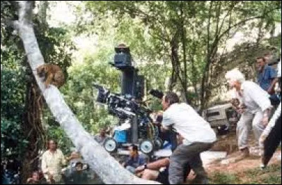 Quel animal est mis en avant dans "Deux frères" ?