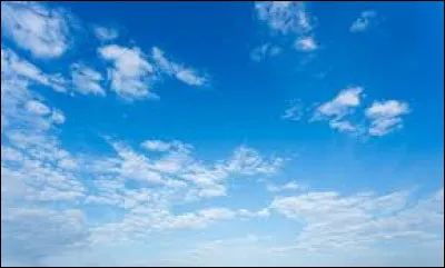 Qui a écrit "Les Racines du ciel" ?