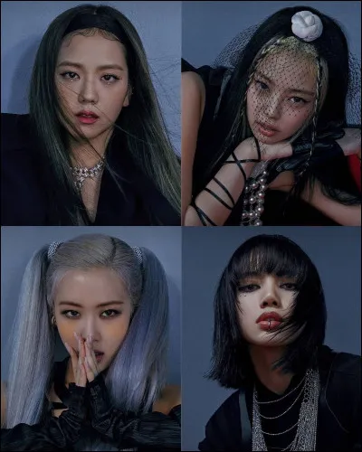 Qui est celle que l'on peut voir en bas et à gauche de la photo ?