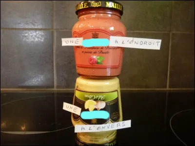 Heu... si vous ne pouvez pas tourner l'écran...