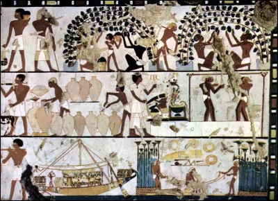 Les ingénieux Égyptiens, au moins dès - 3 150, étaient alors plus forts en boissons fortes qu'en pyramides : on a trouvé, à Abydos, plus de 700 jarres contenant du vin d'herbes, des raisins et ...