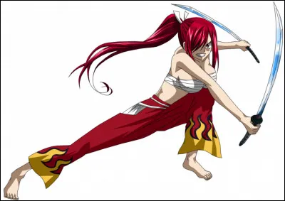 Quel est le nom de cette armure d'Erza ?