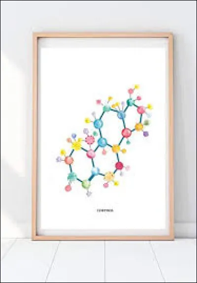 &Agrave; quel groupe caract&eacute;ristique correspond R-C=O-OH ?