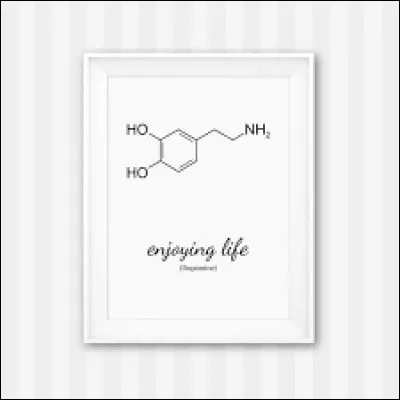 &Agrave; quelle fonction correspond NH2 ?