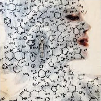 &Agrave; quelle fonction correspond R-O-O-R' ?