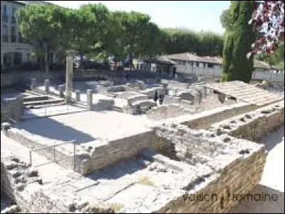 C'est aussi une ville archéologique où une cité romaine a pu être découverte en partie. Comment se nomme le musée qui expose les objets trouvés lors des fouilles archéologique de ce site ?