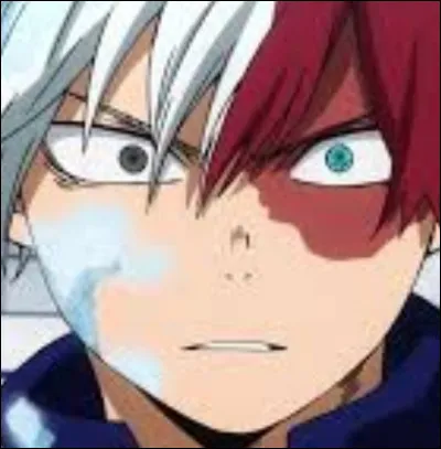 Qui combat et raisonne Shoto ?