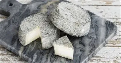 Originaire du Loir-et-Cher, le selles-sur-Cher est un fromage à pâte molle à croûte naturelle. Quel lait utilise-t-on pour sa conception ?