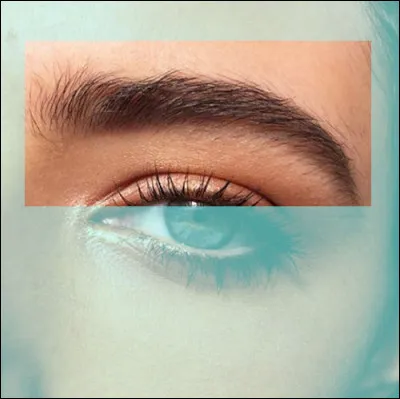 Quelle est la définition de "apiol" ?