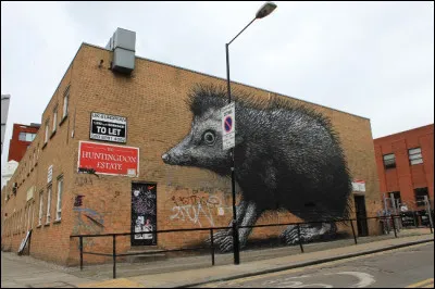 Les espèces du genre Erinaceus sont des espèces protégées. Des tunnels sont aménagés sous les autoroutes à leur intention. 
Il y a quatre autres genres (Atelerix : hérissons dAfrique, Hemiechinus : hérissons oreillards, Masechinus : hérissons des steppes, et Paraechinus : hérissons des déserts).

Trouve-t-on des hérissons naturellement en Amérique ?