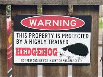 Le hérisson entre en hibernation à la fin de l'automne. Son métabolisme se ralentit, 1 à 2 pulsations par minute, il a accumulé de la graisse. Cependant, il ne dort pas toute la saison d'une seule traite. Il se réveille environ une fois par semaine.