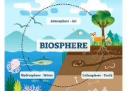 Quiz Biosphre et biodiversit