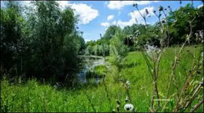 Qu'est-ce qu'un écosystème ?