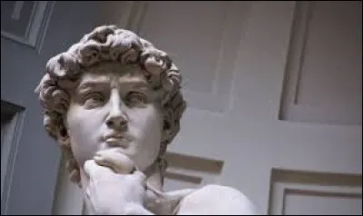 Quelle lettre grecque porte le premier carbone ?