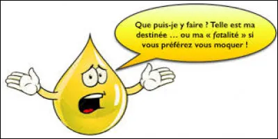 Que permet la présence de doubles liaisons a-t-elle sur un acide gras ?