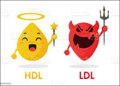 Quelles propositions sont fausses concernant les dérivés du cholestérol ?