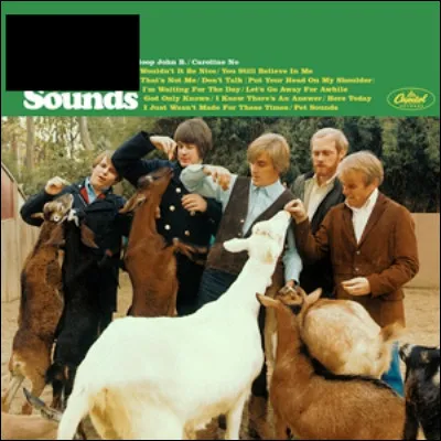 Qui est l'interpr&egrave;te de cet album ?