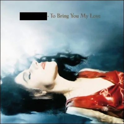 Qui est l'interpr&egrave;te de cet album ?