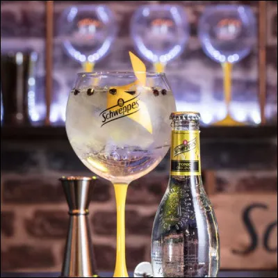 Tour comme tournée ! C'est la mienne ! Que vais-je vous offrir ?