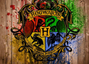 Quiz Harry Potter les 4 maisons