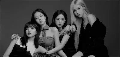 Quel r&ocirc;le aimerais-tu faire dans un groupe de Kpop ?