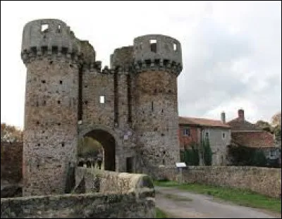 Je vous propose de partir à la découverte du château de Sanzay. Commune néo-aquitaine, dans l'arrondissement de Bressuire, elle se situe dans le département...