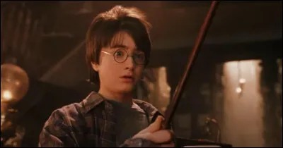 De quoi la baguette de Harry est-elle composée ?