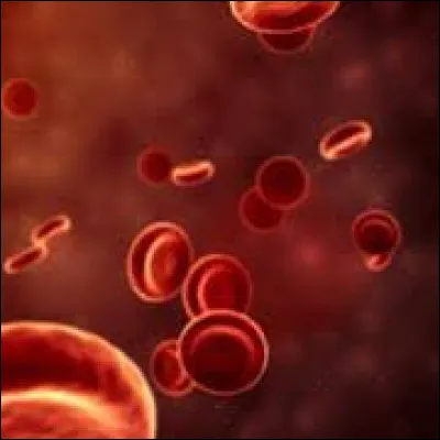 Avant dernière question, parmi ces cellules, lesquelles sont mobiles et d'origine sanguine ?
