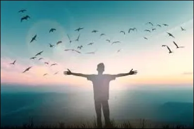 Lequel de ces droits n'a pas &eacute;t&eacute; introduit par la loi Informatique et Libert&eacute; de 1978 ?