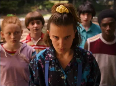 Sur quoi ce diffuse cette série ?