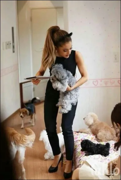 Sur quel album devait apparaître Focus ?