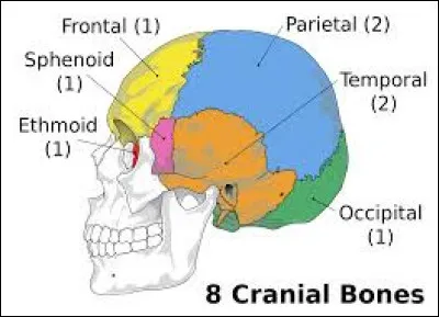 Toujours sur une vue latérale :
