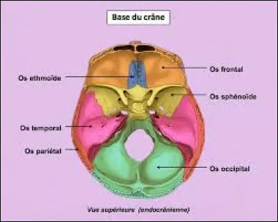 Prenons un peu de hauteur avec une vue supérieure ! Quels éléments sont observables ?