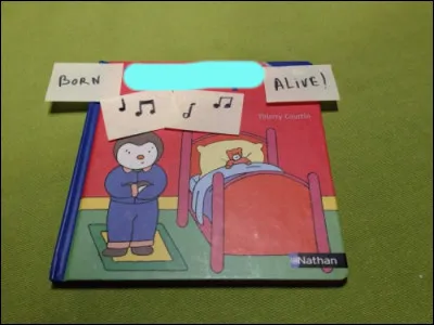 Anglais mais fran&ccedil;ais...