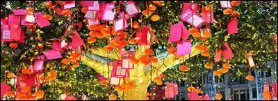 C'est sûrement parce que l'on ne met pas les cartes de vux sur un arbre que les souhaits ne se réalisent pas ! 
Dans quel pays les dispose-t-on de cette façon afin que les bonnes intentions tiennent ?