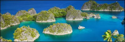 Parmi les pays suivants, lequel est le plus peuplé ?