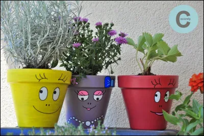 Pot comme potager : vous avez peut-être dans votre potager, ce légume appelé "poirée", à quoi ressemble-t-il ?