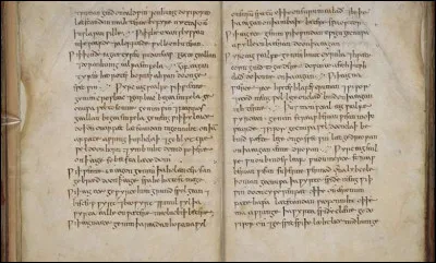 Un vieux grimoire, datant fin du 9e siècle, trône désormais à la British Library de Londres, il a une particularité ...