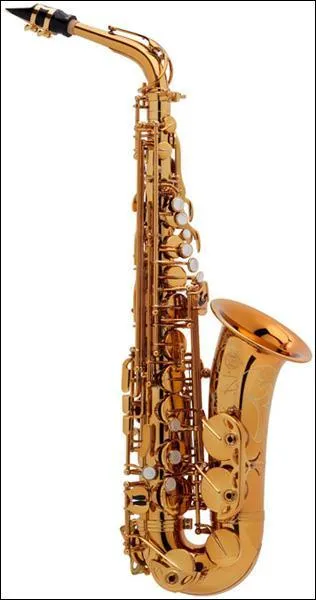Quel est cet instrument ?