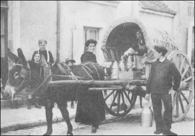 Il ne manque pas de sel, c'est l'...