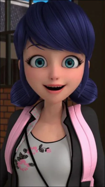 De qui Marinette est-elle amoureuse ?