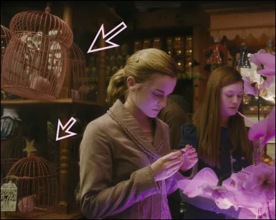 Quel animal a Ginny Weasley ?