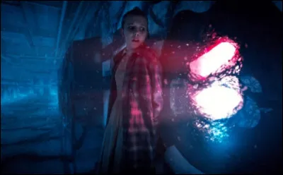 Lors de la fin du premier épisode, on peut apercevoir Jim Hopper qui héberge...