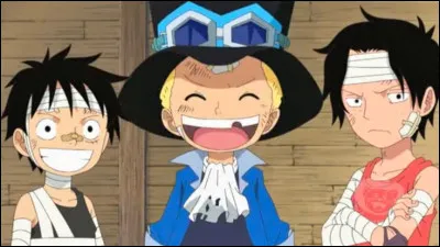 Qui gardait Luffy et ses frères quand ils étaient petits ?