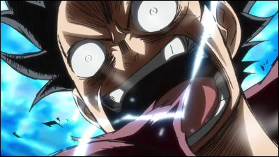 Qui sont les frères de Luffy ?