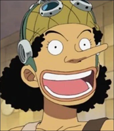 Qui est la fille à laquelle Usopp venait raconter des histoires ?
