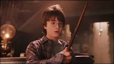 Quel est ton sortilège préféré ?