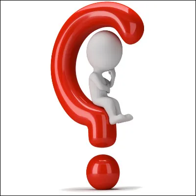 Comment s'appelle la chouette de Harry ?