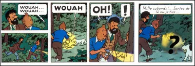 Restons dans le parc : Que vont découvrir Milou, Tintin et le Capitaine, en cette nuit pleine de mystères ?