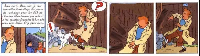 Tintin est en pleine tentative d'écouter ce qui ne le regarde pas... mais que lui arrive-t-il, brusquement ?